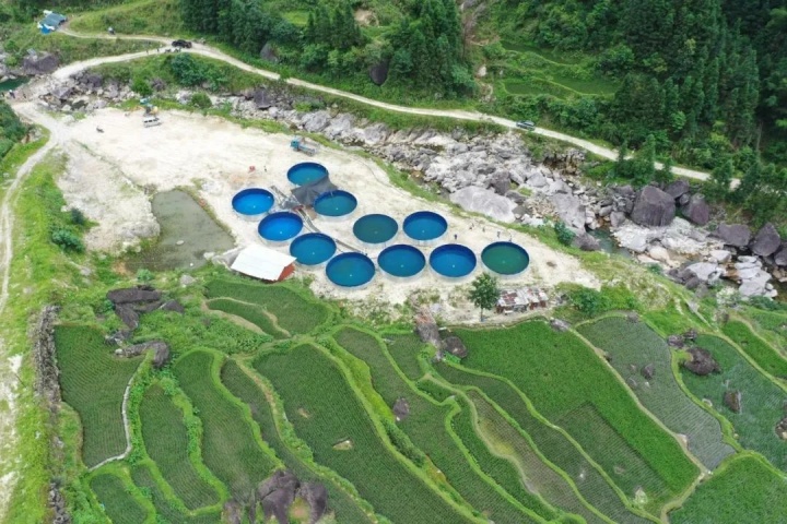 1929743187417554945.jpg 1929743187417554945.jpg